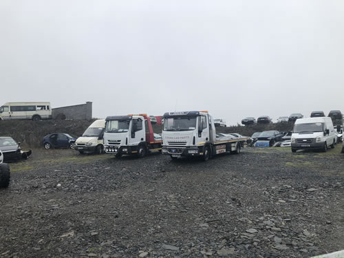 Sell your car to us